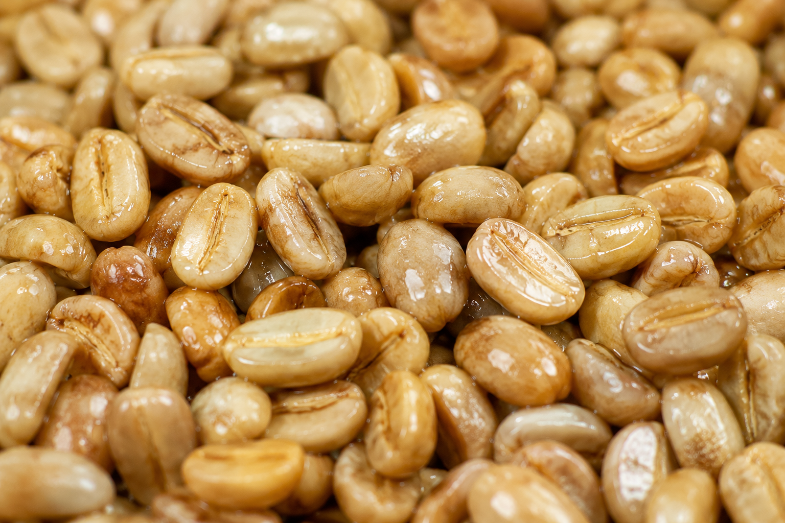 Green Coffee Beans - Honey Process