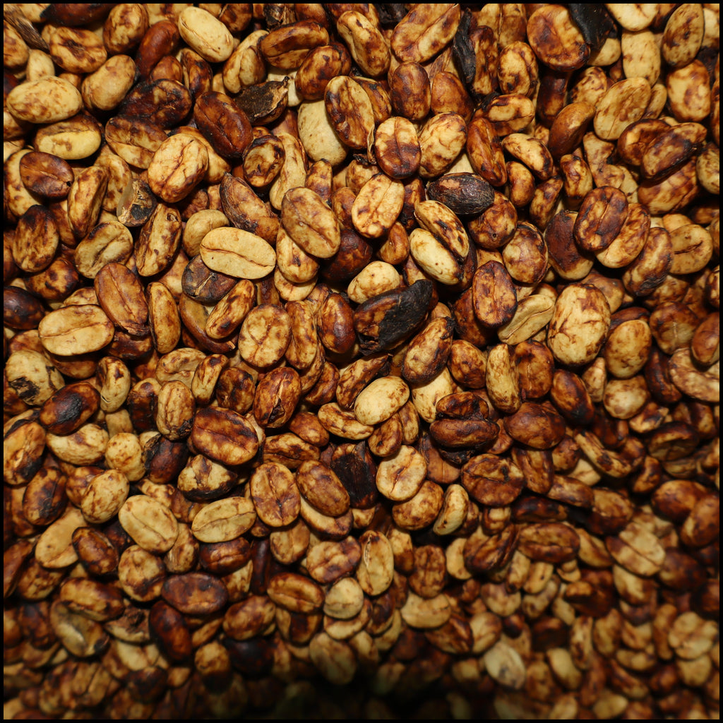 Green Coffee Beans - Honey Process