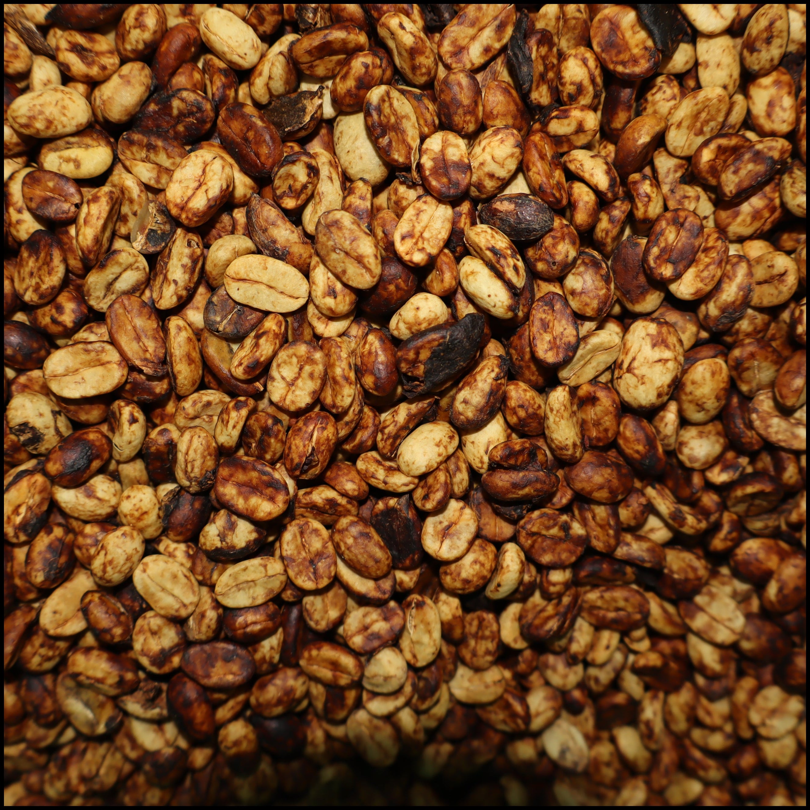 Green Coffee Beans - Honey Process