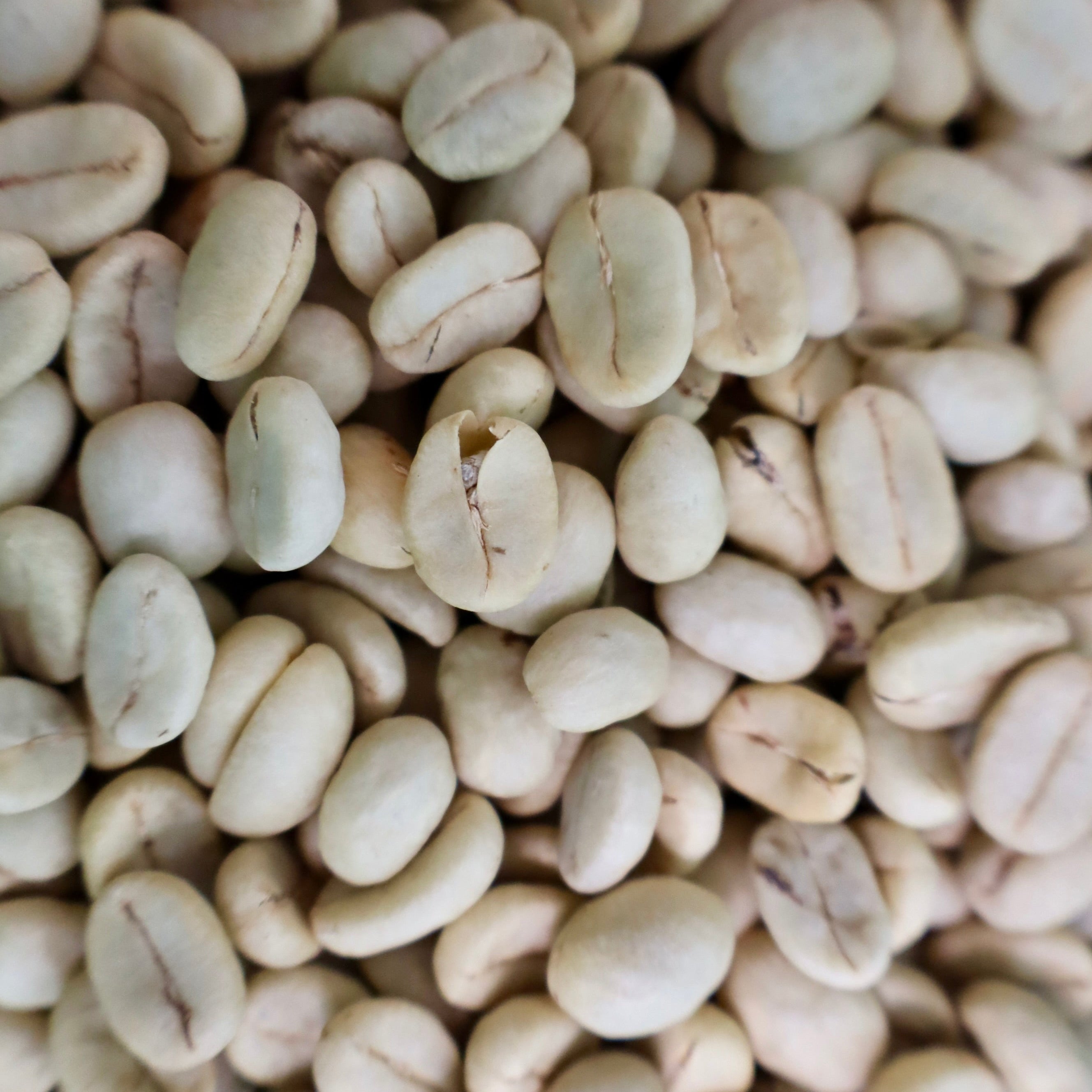 Green Coffee Beans - Washed Process