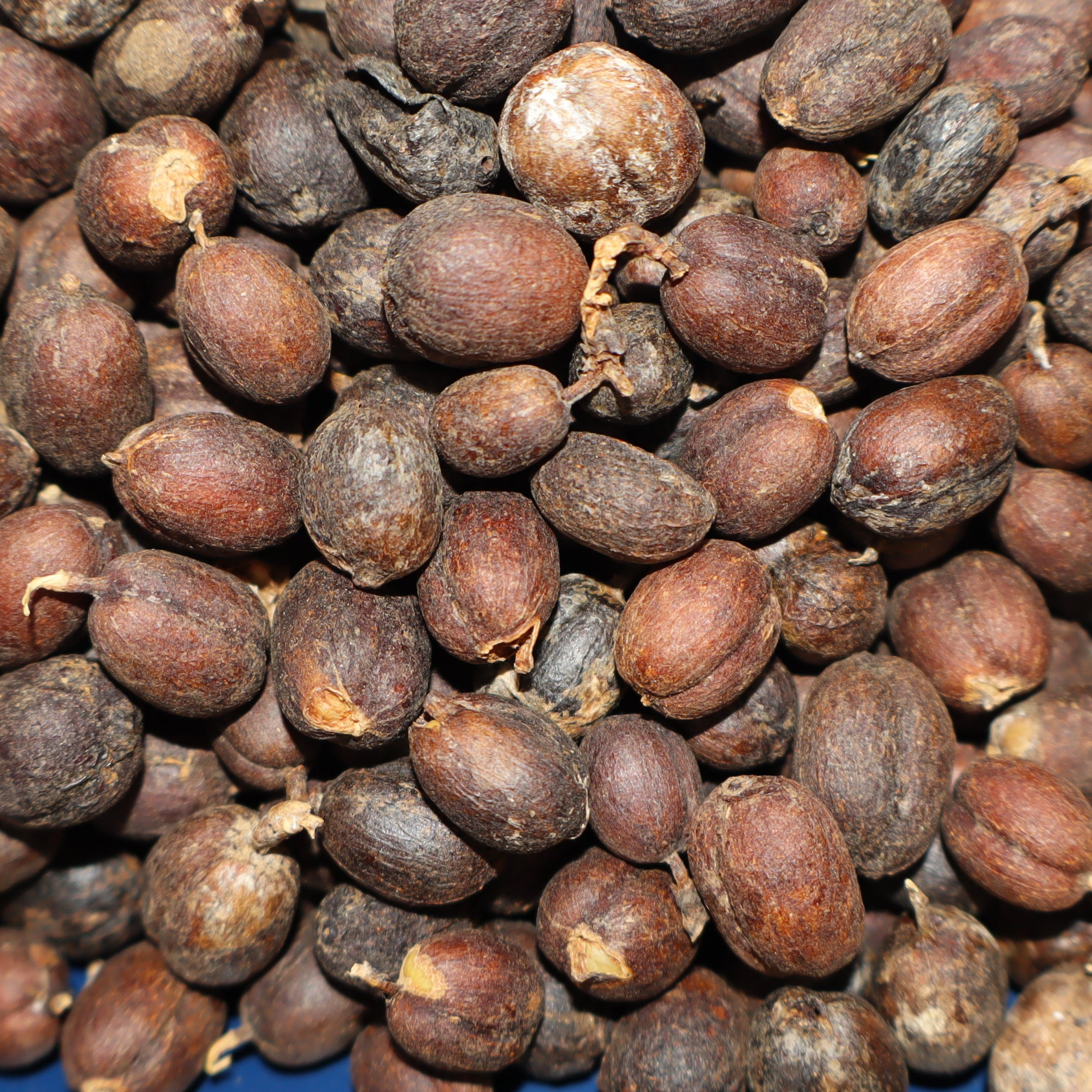Green Coffee Beans - Natural Process