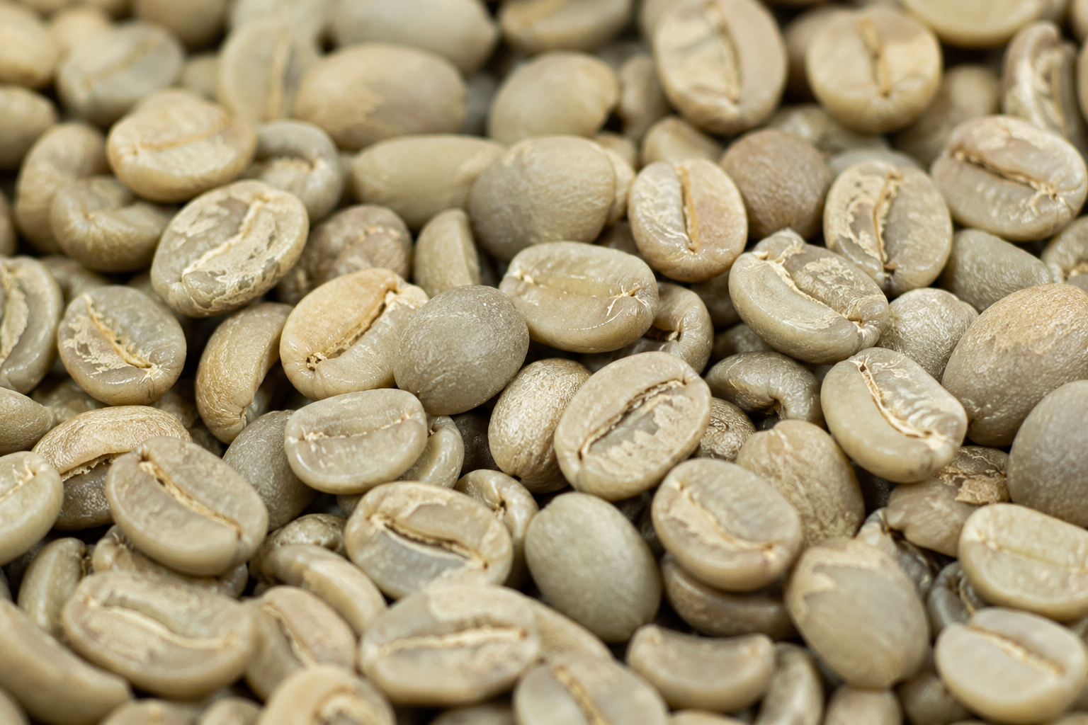 Green Coffee Beans - Washed Process