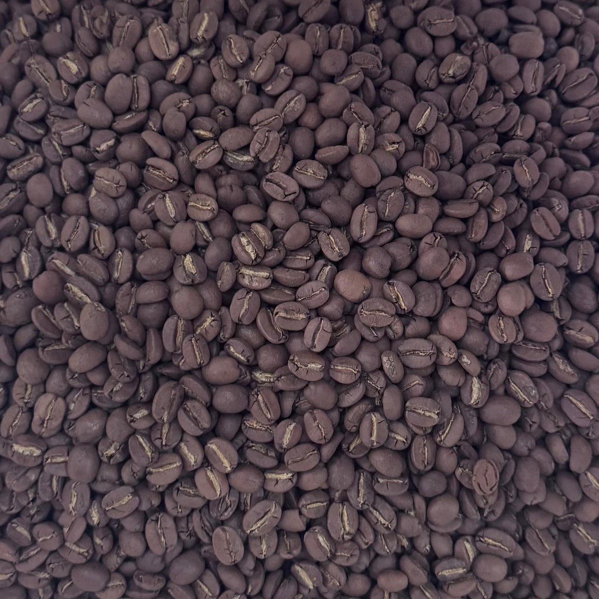 A close-up, top-down view of roasted coffee beans densely packed together, filling the entire frame.