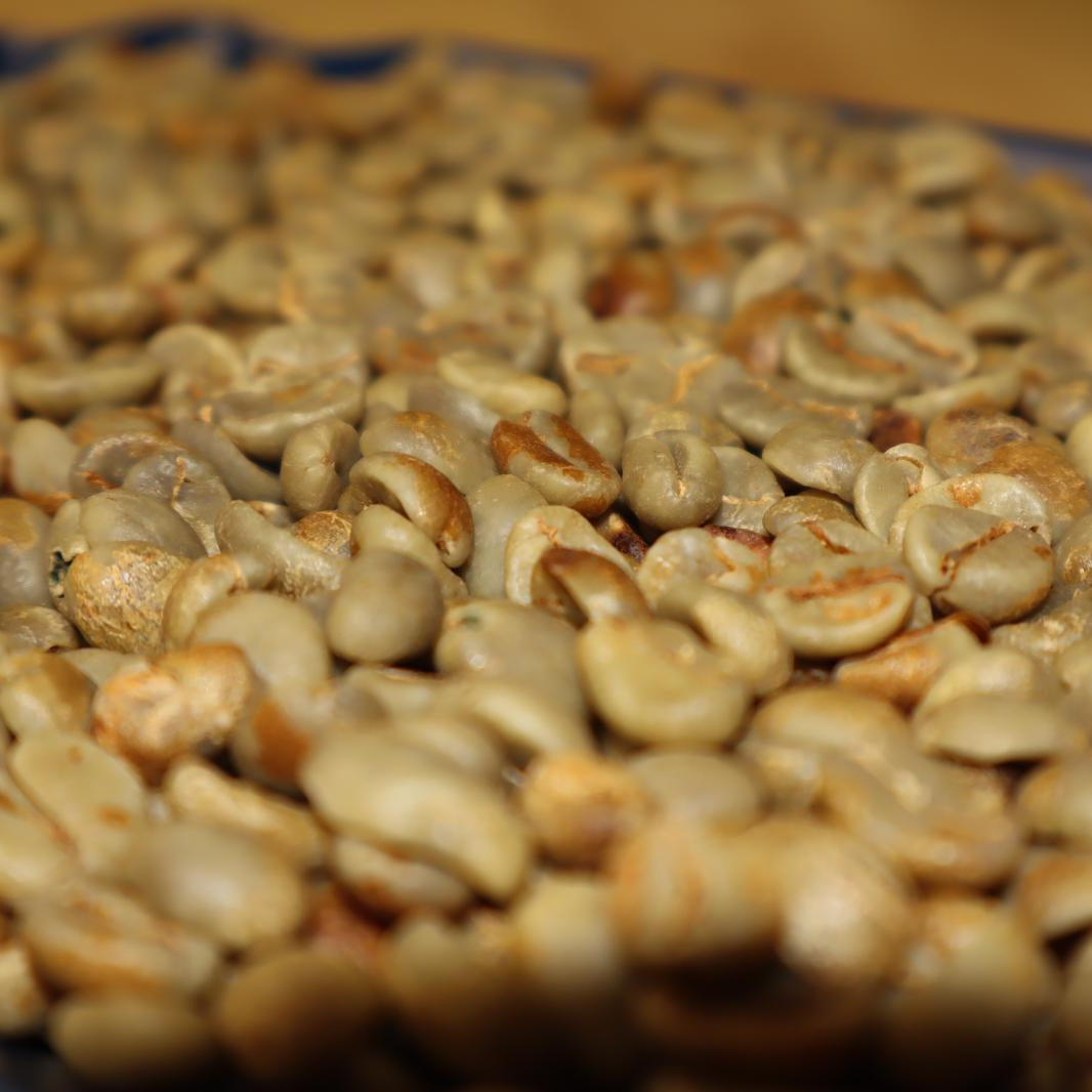 Green Coffee Beans - Honey Process