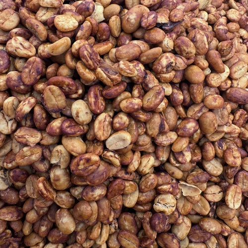 A close-up pile of honey process roasted coffee beans with varied shades of brown, tan, and reddish tones.