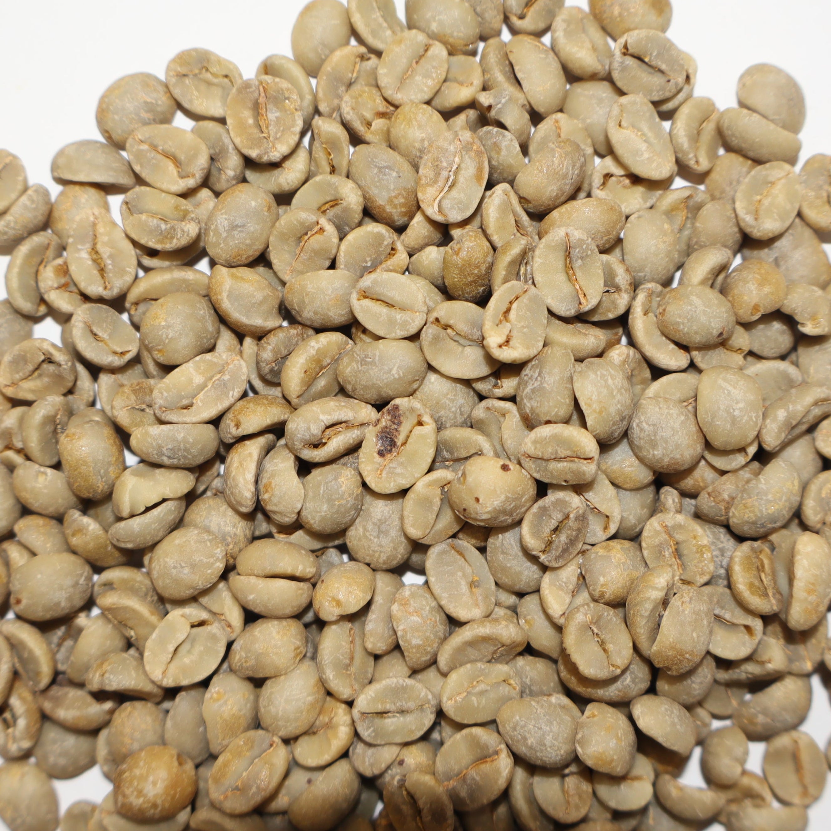A pile of raw, unroasted green coffee beans on a plain white background.