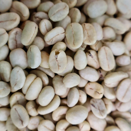 Close-up of washed green coffee beans